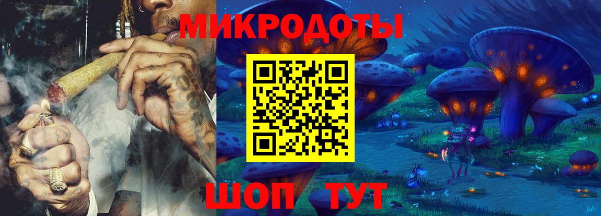 Псилоцибиновые грибы Cubensis Похвистнево